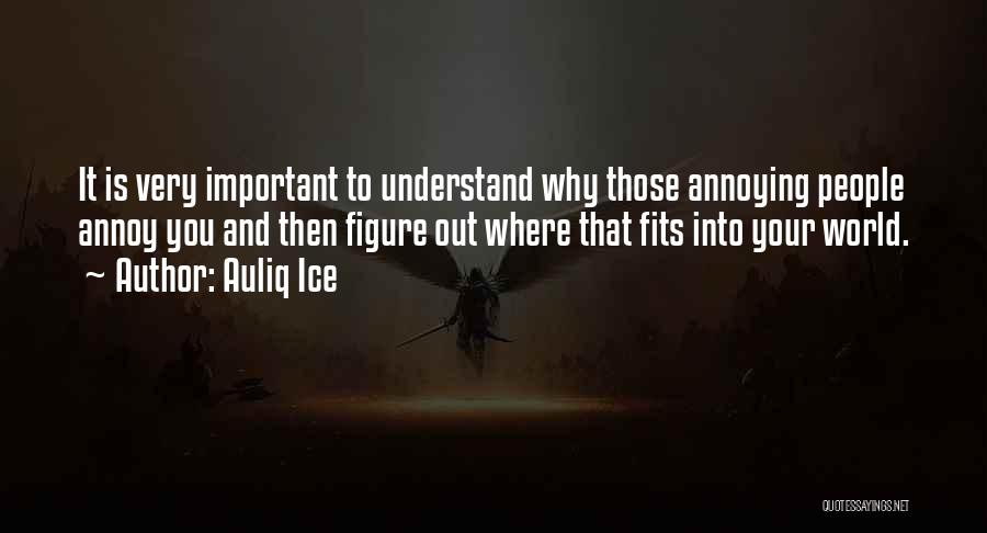 Auliq Ice Quotes: It Is Very Important To Understand Why Those Annoying People Annoy You And Then Figure Out Where That Fits Into