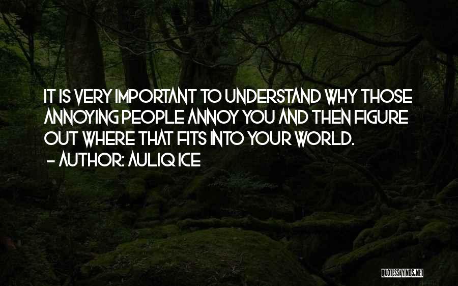 Auliq Ice Quotes: It Is Very Important To Understand Why Those Annoying People Annoy You And Then Figure Out Where That Fits Into