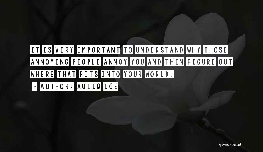 Auliq Ice Quotes: It Is Very Important To Understand Why Those Annoying People Annoy You And Then Figure Out Where That Fits Into