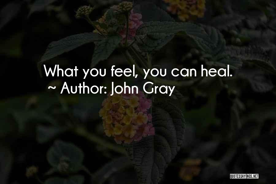 John Gray Quotes: What You Feel, You Can Heal.