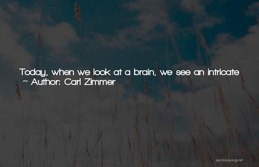 Carl Zimmer Quotes: Today, When We Look At A Brain, We See An Intricate Network Of Billions Of Neurons In Constant, Crackling Communication,