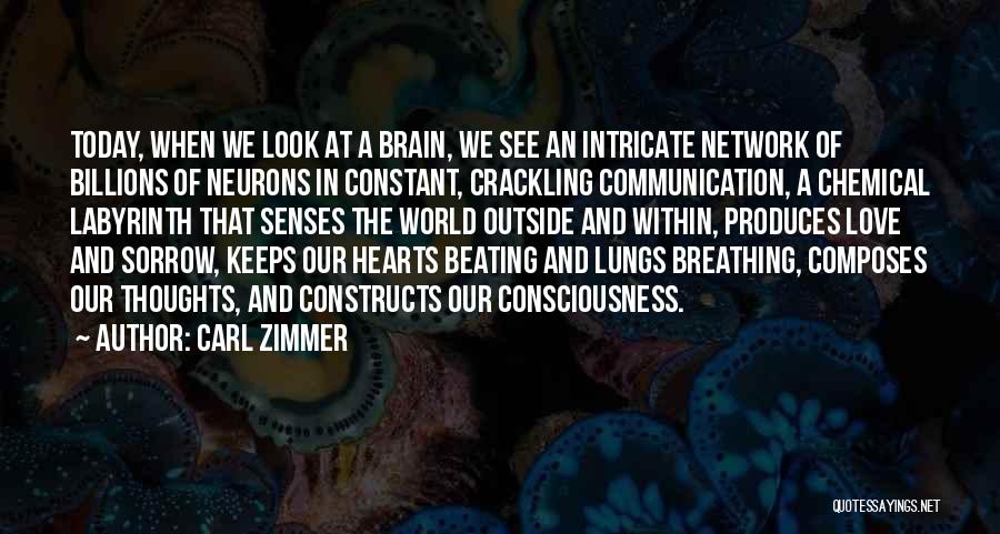 Carl Zimmer Quotes: Today, When We Look At A Brain, We See An Intricate Network Of Billions Of Neurons In Constant, Crackling Communication,