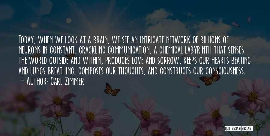 Carl Zimmer Quotes: Today, When We Look At A Brain, We See An Intricate Network Of Billions Of Neurons In Constant, Crackling Communication,