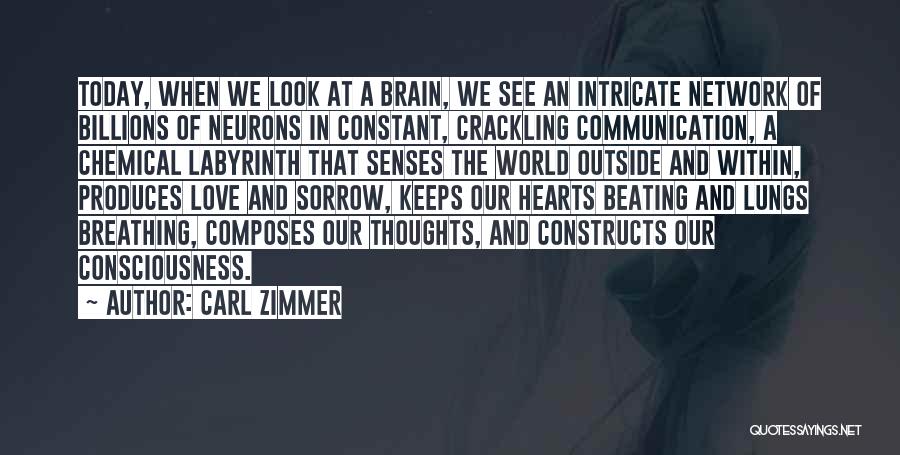 Carl Zimmer Quotes: Today, When We Look At A Brain, We See An Intricate Network Of Billions Of Neurons In Constant, Crackling Communication,