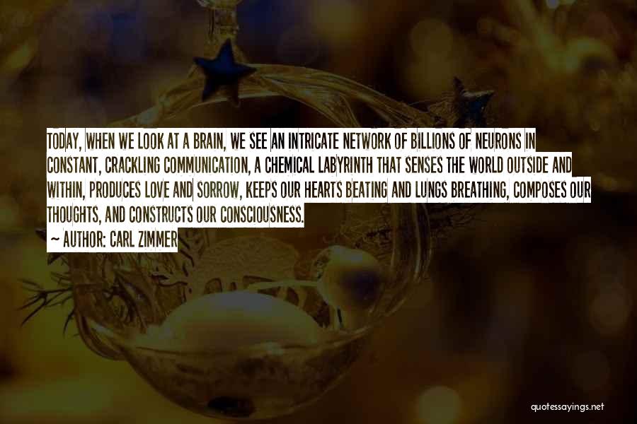 Carl Zimmer Quotes: Today, When We Look At A Brain, We See An Intricate Network Of Billions Of Neurons In Constant, Crackling Communication,