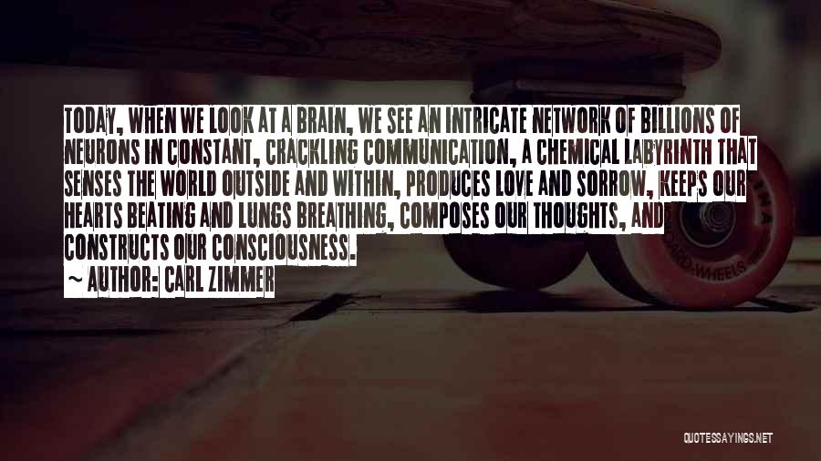 Carl Zimmer Quotes: Today, When We Look At A Brain, We See An Intricate Network Of Billions Of Neurons In Constant, Crackling Communication,