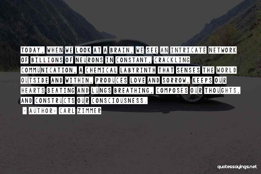 Carl Zimmer Quotes: Today, When We Look At A Brain, We See An Intricate Network Of Billions Of Neurons In Constant, Crackling Communication,