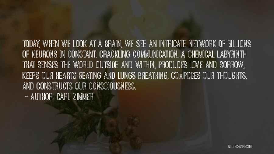 Carl Zimmer Quotes: Today, When We Look At A Brain, We See An Intricate Network Of Billions Of Neurons In Constant, Crackling Communication,