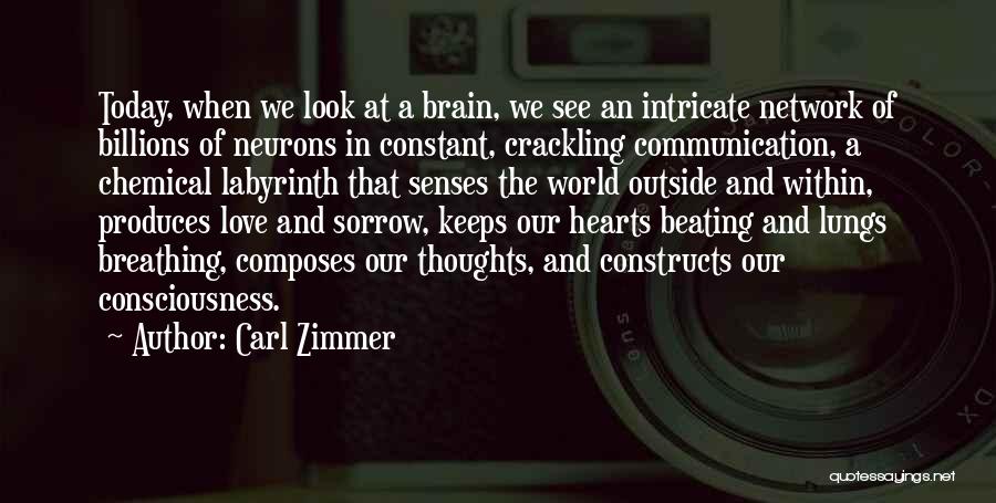 Carl Zimmer Quotes: Today, When We Look At A Brain, We See An Intricate Network Of Billions Of Neurons In Constant, Crackling Communication,