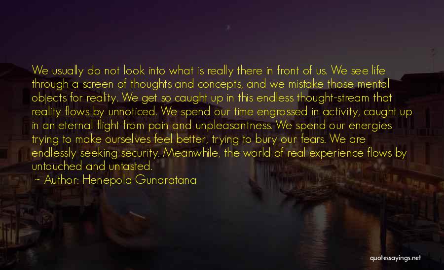 Henepola Gunaratana Quotes: We Usually Do Not Look Into What Is Really There In Front Of Us. We See Life Through A Screen