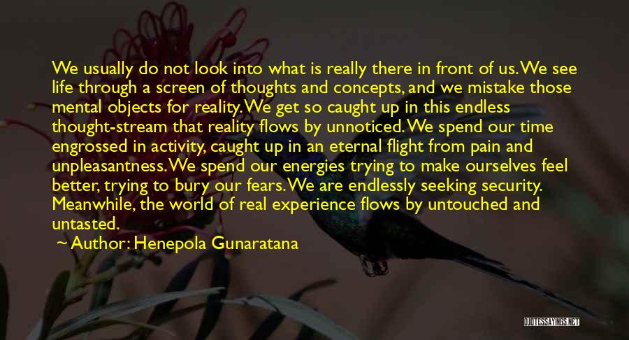 Henepola Gunaratana Quotes: We Usually Do Not Look Into What Is Really There In Front Of Us. We See Life Through A Screen