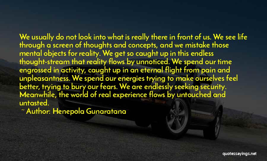 Henepola Gunaratana Quotes: We Usually Do Not Look Into What Is Really There In Front Of Us. We See Life Through A Screen