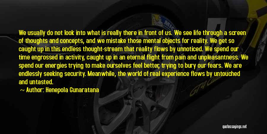 Henepola Gunaratana Quotes: We Usually Do Not Look Into What Is Really There In Front Of Us. We See Life Through A Screen