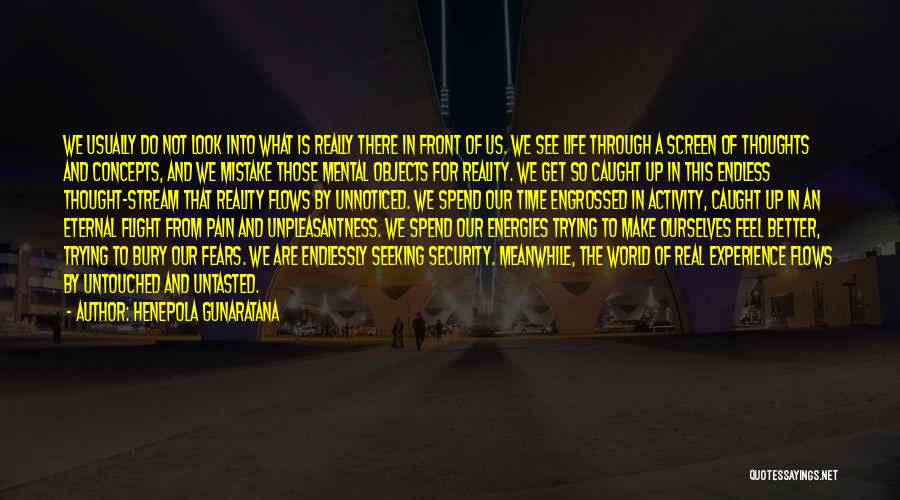 Henepola Gunaratana Quotes: We Usually Do Not Look Into What Is Really There In Front Of Us. We See Life Through A Screen