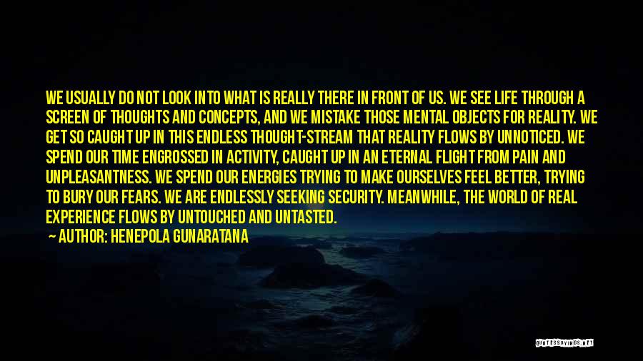 Henepola Gunaratana Quotes: We Usually Do Not Look Into What Is Really There In Front Of Us. We See Life Through A Screen