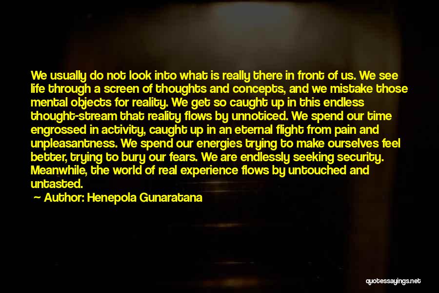 Henepola Gunaratana Quotes: We Usually Do Not Look Into What Is Really There In Front Of Us. We See Life Through A Screen