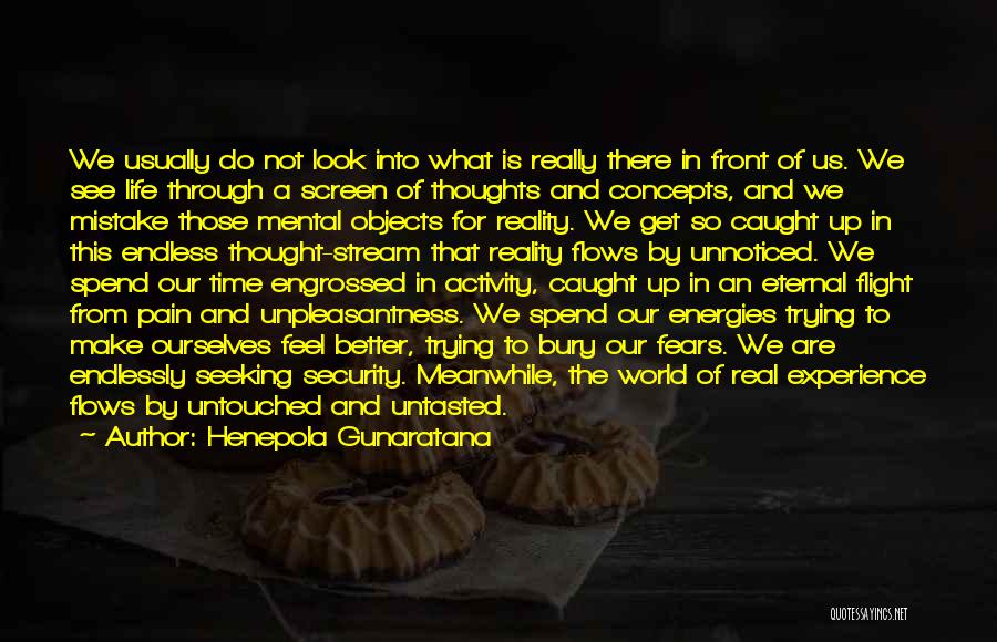 Henepola Gunaratana Quotes: We Usually Do Not Look Into What Is Really There In Front Of Us. We See Life Through A Screen