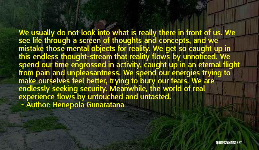 Henepola Gunaratana Quotes: We Usually Do Not Look Into What Is Really There In Front Of Us. We See Life Through A Screen