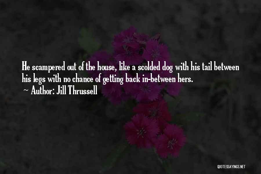 Jill Thrussell Quotes: He Scampered Out Of The House, Like A Scolded Dog With His Tail Between His Legs With No Chance Of