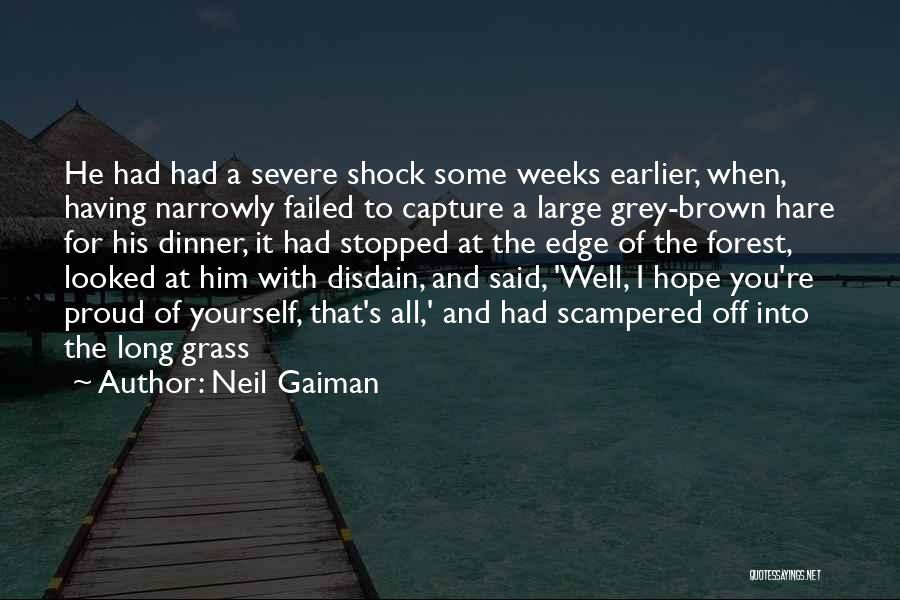 Neil Gaiman Quotes: He Had Had A Severe Shock Some Weeks Earlier, When, Having Narrowly Failed To Capture A Large Grey-brown Hare For