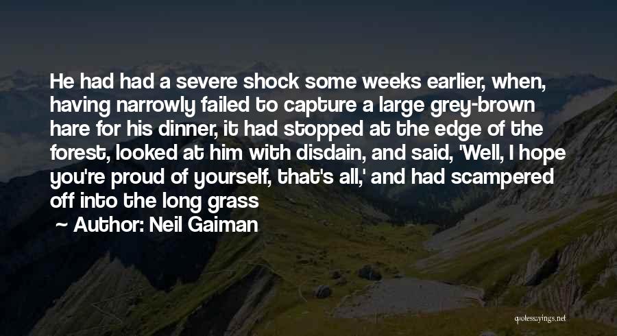 Neil Gaiman Quotes: He Had Had A Severe Shock Some Weeks Earlier, When, Having Narrowly Failed To Capture A Large Grey-brown Hare For