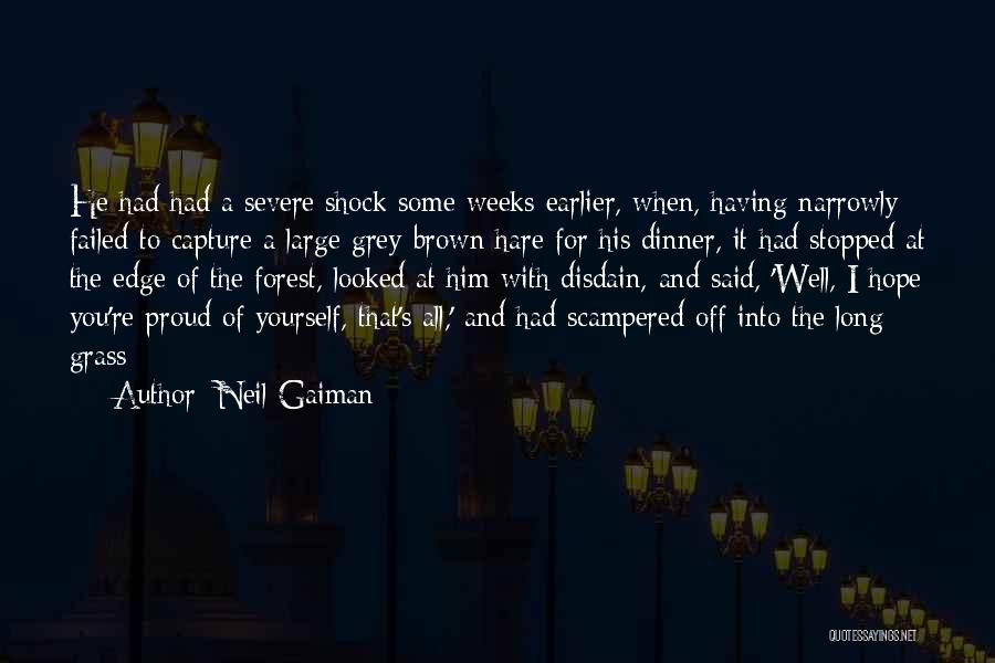 Neil Gaiman Quotes: He Had Had A Severe Shock Some Weeks Earlier, When, Having Narrowly Failed To Capture A Large Grey-brown Hare For