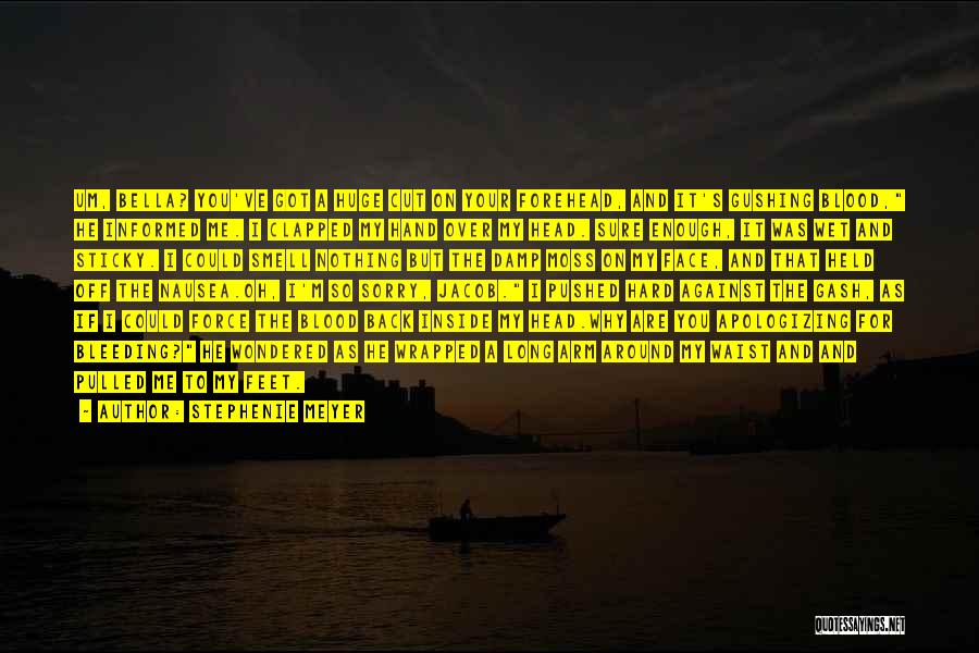 Stephenie Meyer Quotes: Um, Bella? You've Got A Huge Cut On Your Forehead, And It's Gushing Blood, He Informed Me. I Clapped My