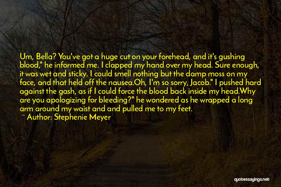 Stephenie Meyer Quotes: Um, Bella? You've Got A Huge Cut On Your Forehead, And It's Gushing Blood, He Informed Me. I Clapped My