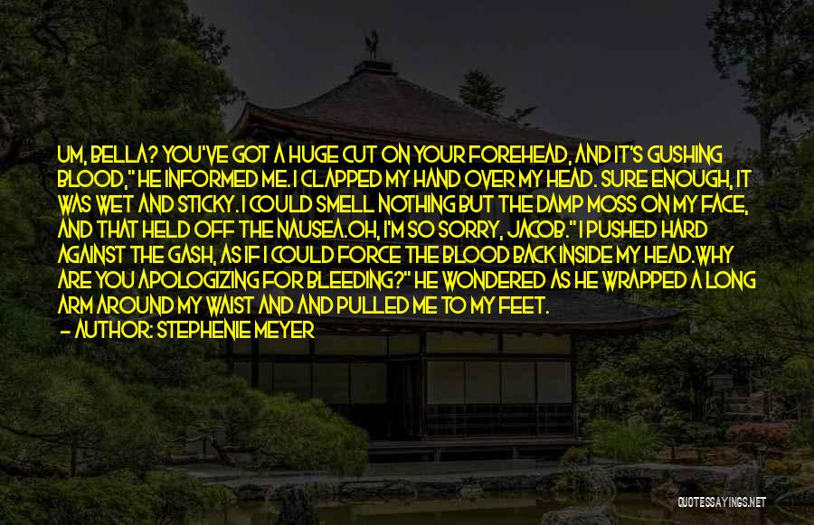 Stephenie Meyer Quotes: Um, Bella? You've Got A Huge Cut On Your Forehead, And It's Gushing Blood, He Informed Me. I Clapped My