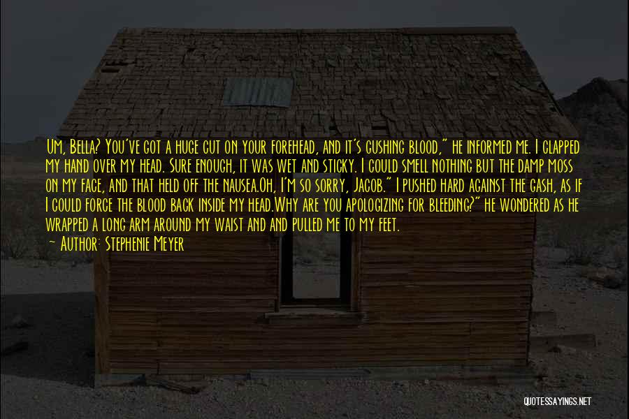 Stephenie Meyer Quotes: Um, Bella? You've Got A Huge Cut On Your Forehead, And It's Gushing Blood, He Informed Me. I Clapped My