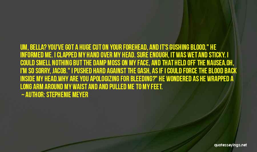 Stephenie Meyer Quotes: Um, Bella? You've Got A Huge Cut On Your Forehead, And It's Gushing Blood, He Informed Me. I Clapped My