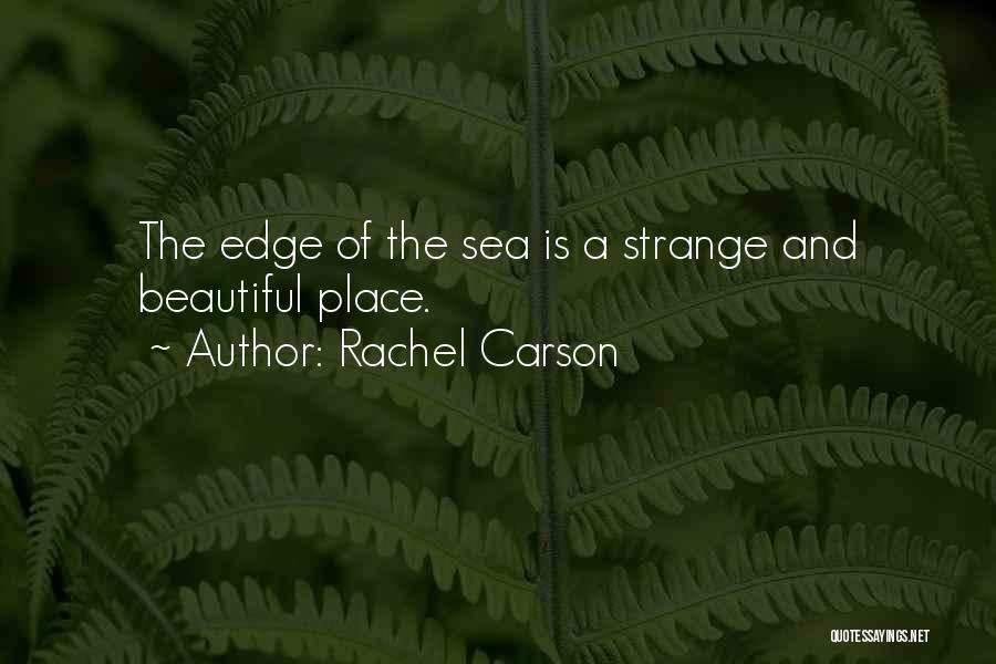 Rachel Carson Quotes: The Edge Of The Sea Is A Strange And Beautiful Place.