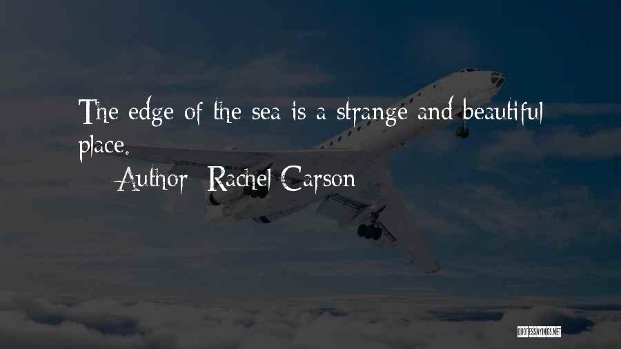 Rachel Carson Quotes: The Edge Of The Sea Is A Strange And Beautiful Place.
