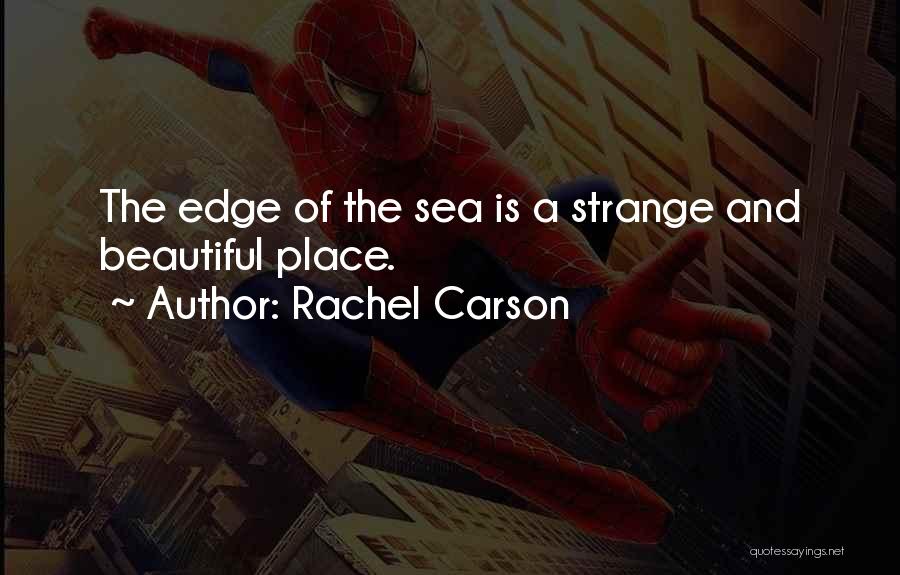 Rachel Carson Quotes: The Edge Of The Sea Is A Strange And Beautiful Place.