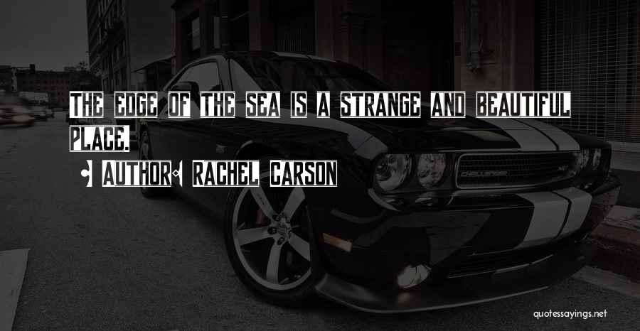 Rachel Carson Quotes: The Edge Of The Sea Is A Strange And Beautiful Place.