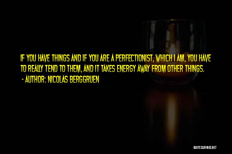 Nicolas Berggruen Quotes: If You Have Things And If You Are A Perfectionist, Which I Am, You Have To Really Tend To Them,