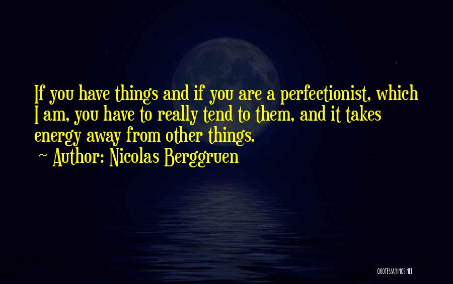 Nicolas Berggruen Quotes: If You Have Things And If You Are A Perfectionist, Which I Am, You Have To Really Tend To Them,