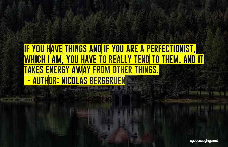 Nicolas Berggruen Quotes: If You Have Things And If You Are A Perfectionist, Which I Am, You Have To Really Tend To Them,