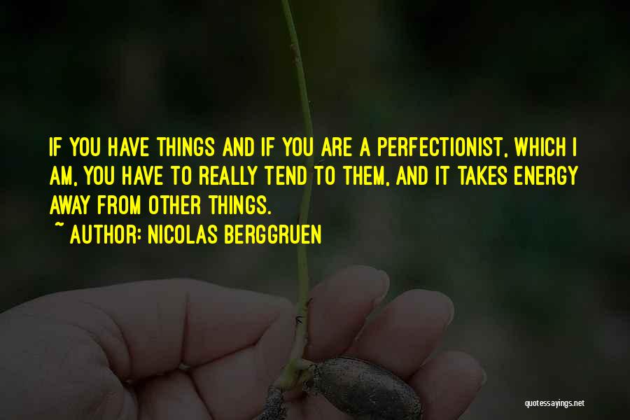 Nicolas Berggruen Quotes: If You Have Things And If You Are A Perfectionist, Which I Am, You Have To Really Tend To Them,