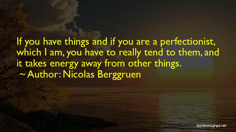 Nicolas Berggruen Quotes: If You Have Things And If You Are A Perfectionist, Which I Am, You Have To Really Tend To Them,