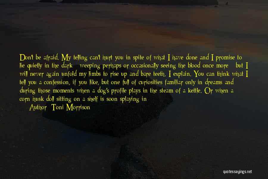 Toni Morrison Quotes: Don't Be Afraid. My Telling Can't Hurt You In Spite Of What I Have Done And I Promise To Lie