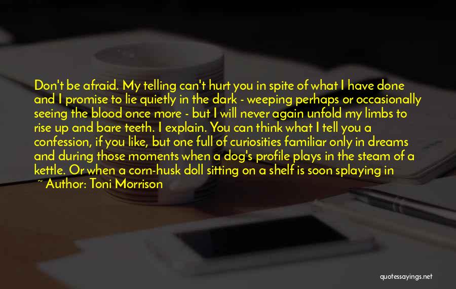 Toni Morrison Quotes: Don't Be Afraid. My Telling Can't Hurt You In Spite Of What I Have Done And I Promise To Lie