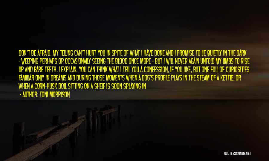 Toni Morrison Quotes: Don't Be Afraid. My Telling Can't Hurt You In Spite Of What I Have Done And I Promise To Lie