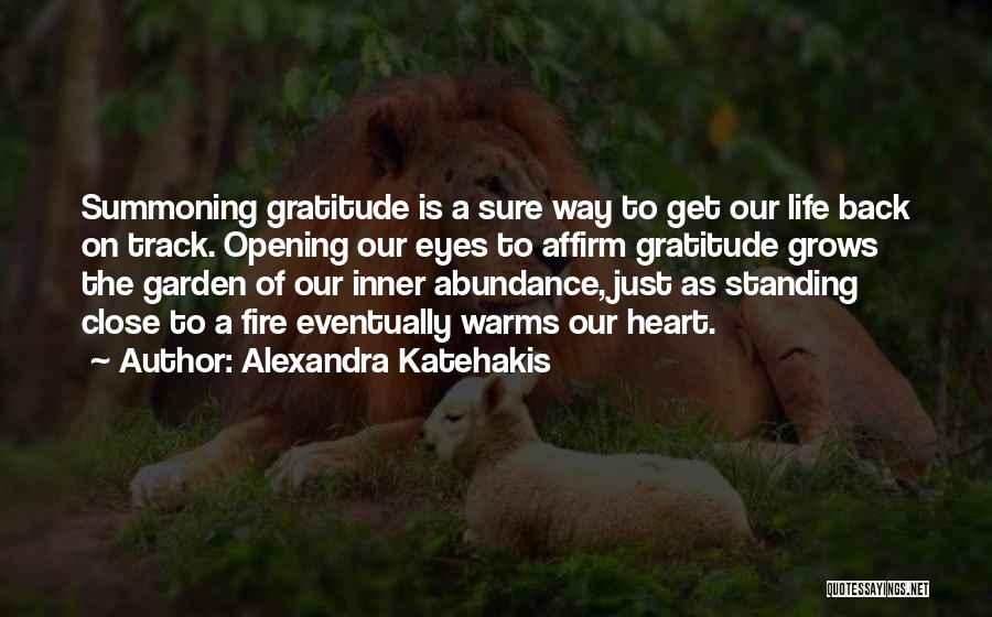 Alexandra Katehakis Quotes: Summoning Gratitude Is A Sure Way To Get Our Life Back On Track. Opening Our Eyes To Affirm Gratitude Grows