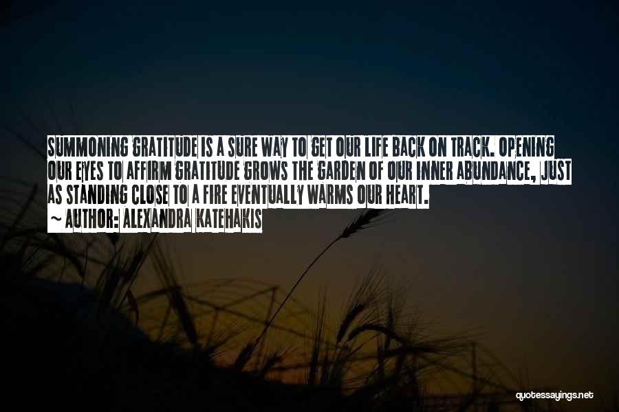 Alexandra Katehakis Quotes: Summoning Gratitude Is A Sure Way To Get Our Life Back On Track. Opening Our Eyes To Affirm Gratitude Grows