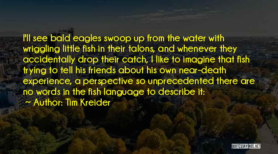 Tim Kreider Quotes: I'll See Bald Eagles Swoop Up From The Water With Wriggling Little Fish In Their Talons, And Whenever They Accidentally