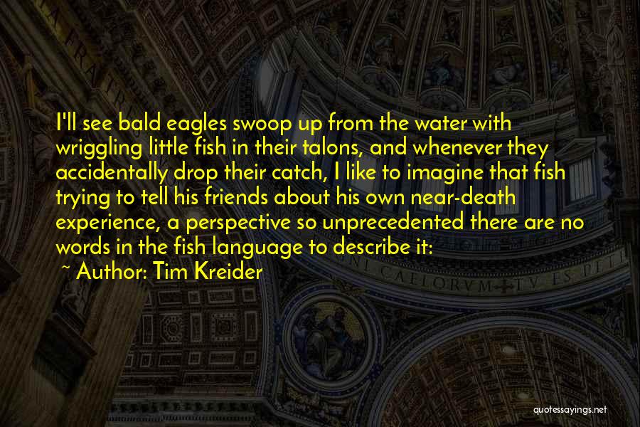 Tim Kreider Quotes: I'll See Bald Eagles Swoop Up From The Water With Wriggling Little Fish In Their Talons, And Whenever They Accidentally
