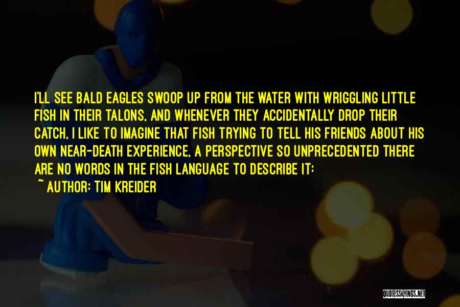 Tim Kreider Quotes: I'll See Bald Eagles Swoop Up From The Water With Wriggling Little Fish In Their Talons, And Whenever They Accidentally