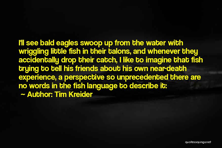 Tim Kreider Quotes: I'll See Bald Eagles Swoop Up From The Water With Wriggling Little Fish In Their Talons, And Whenever They Accidentally