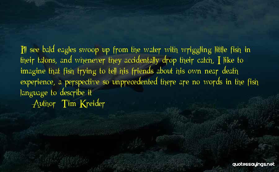 Tim Kreider Quotes: I'll See Bald Eagles Swoop Up From The Water With Wriggling Little Fish In Their Talons, And Whenever They Accidentally